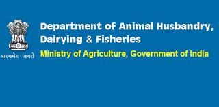 Department of Animal