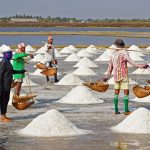 Salt Farming Industry