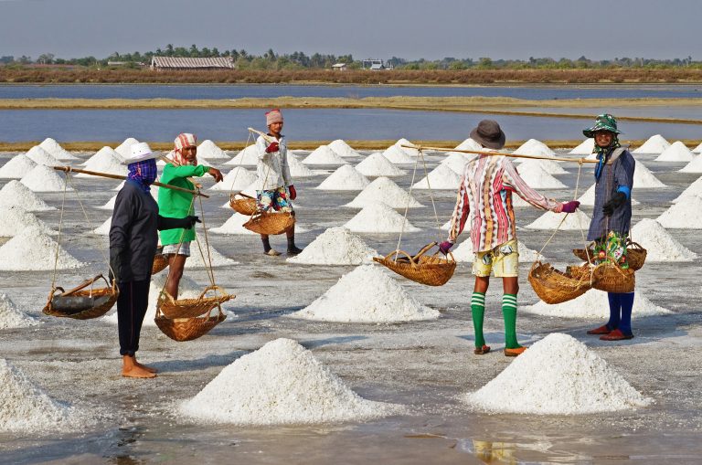 Salt Farming Industry