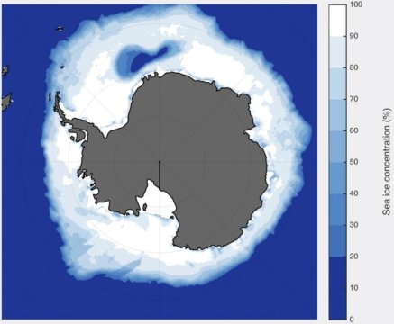 Antarctic sea