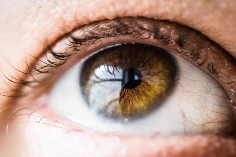 Genetic treatment for blindness