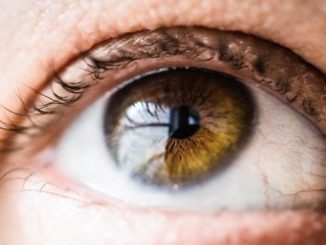 Genetic treatment for blindness