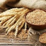 import duty on wheat
