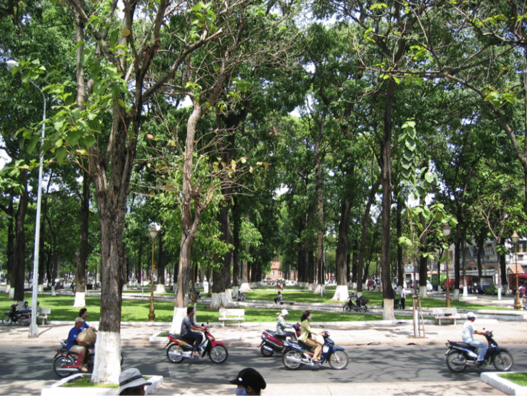 Urban trees