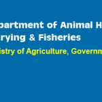 Department of Animal Husbandry