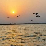 Project to Control Pollution of River Sal, Goa