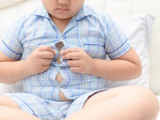 gut bacteria and obesity