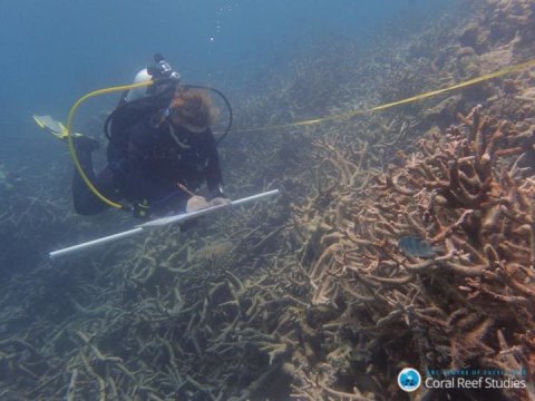 Great Barrier Reef