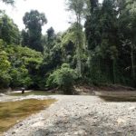 big damage to fish ecosystems