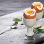 egg