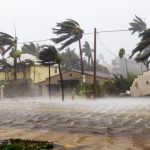 Hurricanes