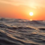 Ocean acidification