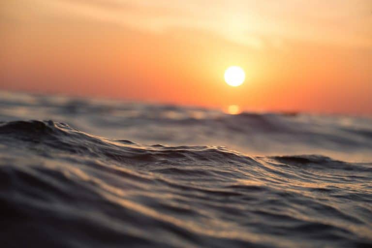 Ocean acidification
