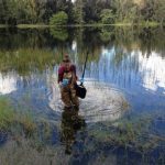 Stormwater ponds