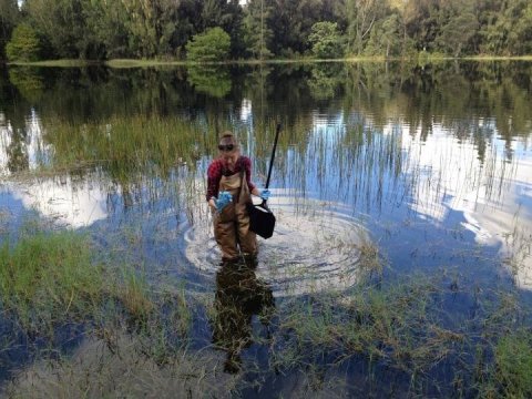 Stormwater ponds