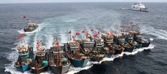 Fishing fleets travelling