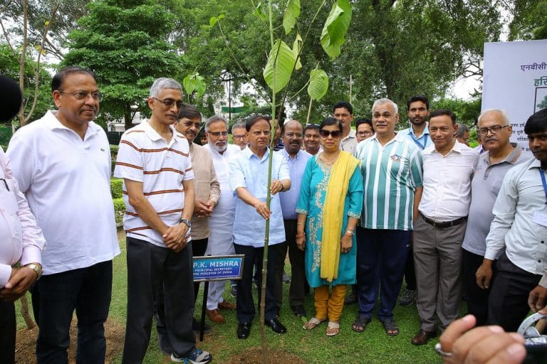 NBCC and RWA