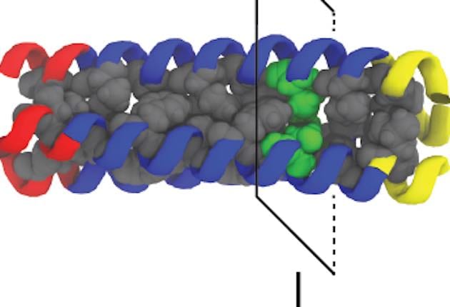 New way to target flu virus