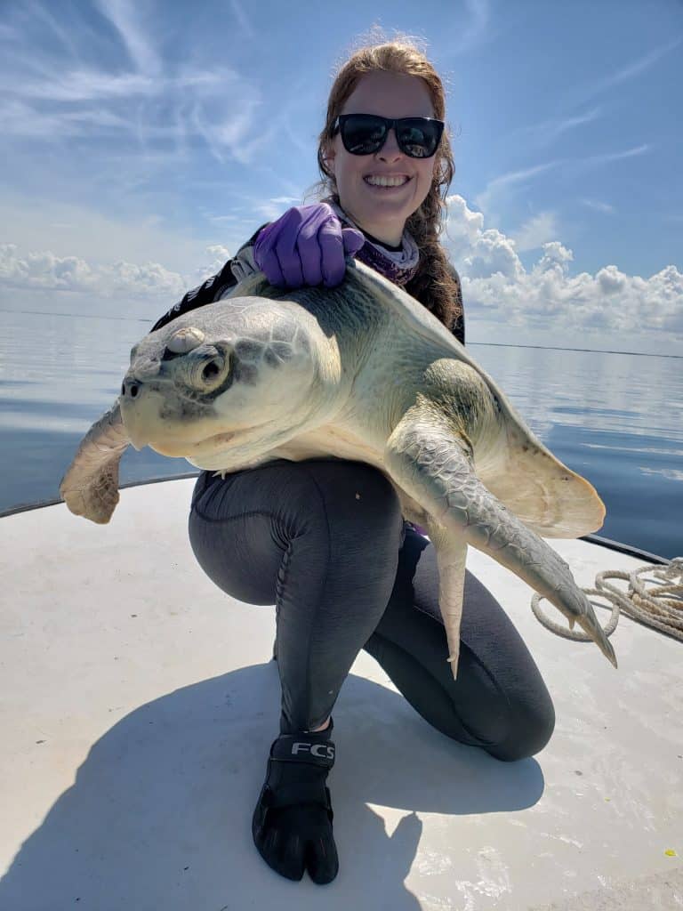 Recreational fisheries pose threat to skittish sea turtles