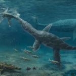Fossil teeth show how