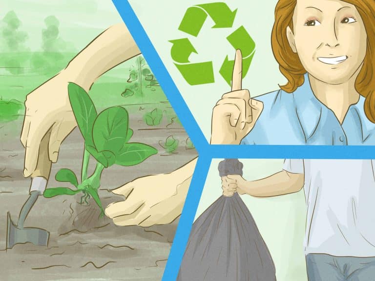 Knowing your neighbor cares about the environment encourages people to use less energy