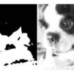 Past experiences shape what we see more