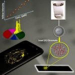 Smartphone system to test for lead in wate