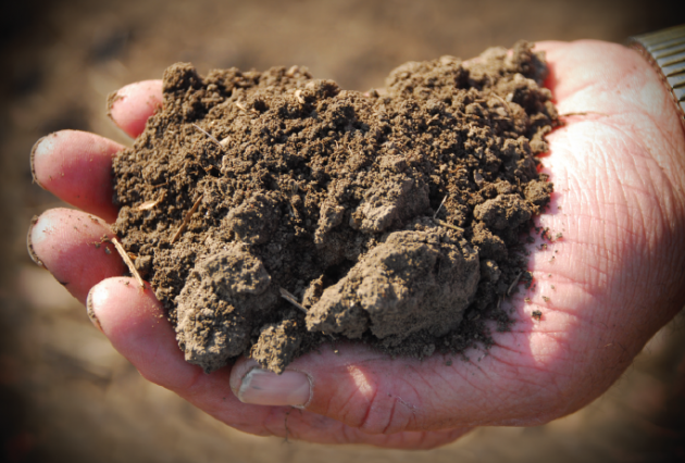 Soil holds the secret to mitigating climate change