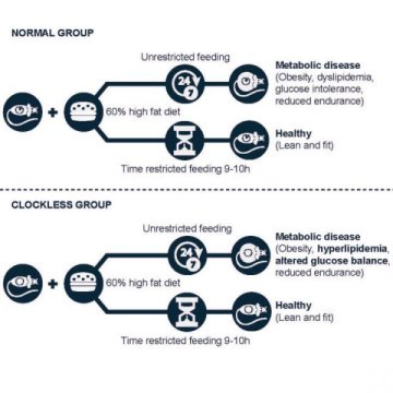 override disease-causing genetic defects