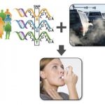 pollution drive severity of asthma symptoms