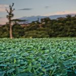 Climate action researcher calls for urgent shift