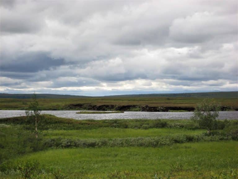 Wetlands are key for accurate greenhouse gas measurements in the Arctic
