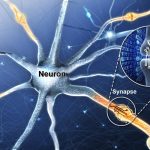 Artificial synaptic device