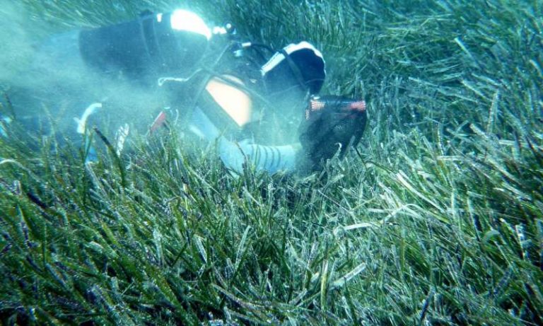 Beaches at risk