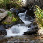 Clean Water Act dramatically cut pollution in US waterways