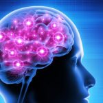How childhood stress contributes