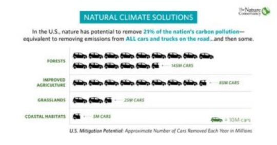 Natural solutions can reduce global warming