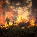 US wildfire smoke