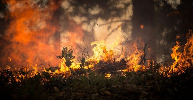 US wildfire smoke