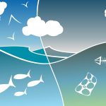 Warming waters caused