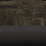 Biggest mass extinction