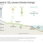 Global carbon dioxide emissions