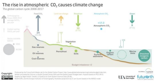 Global carbon dioxide emissions