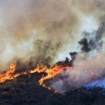 New federal climate