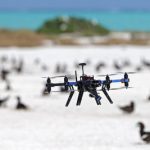 Animals may get used to drones