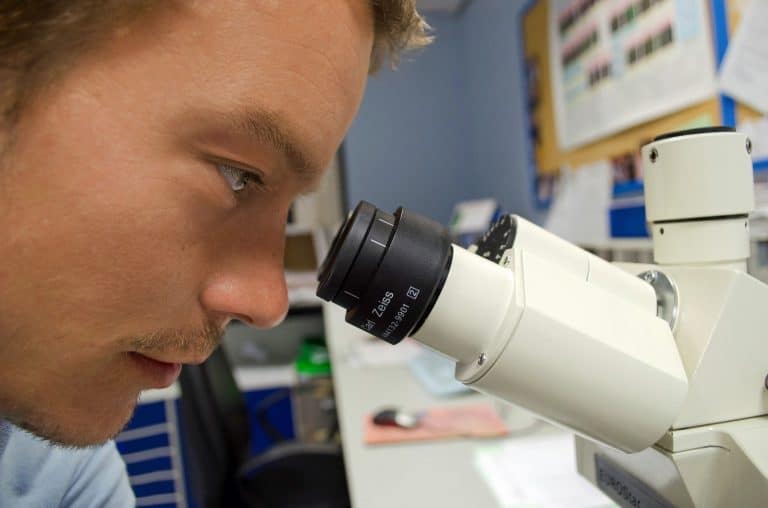 Dropout' rate for academic scientists has risen sharply in past 50 years, study finds