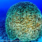 Scientists warn of slow progress