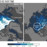 Warming, sea-ice loss