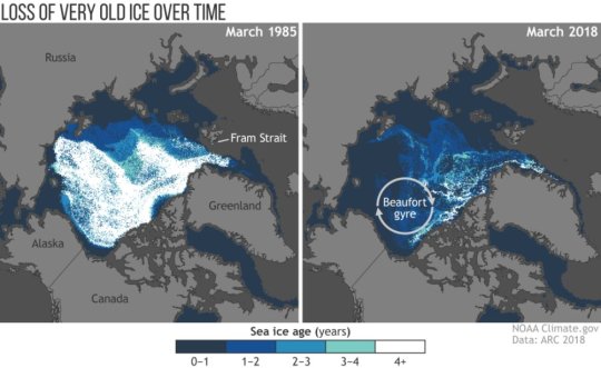 Warming, sea-ice loss