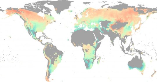 Water, not temperature, limits global forest